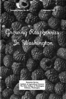 Growing raspberries in Washington