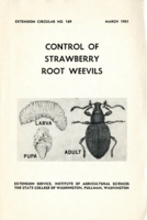 Control of strawberry root weevils