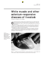 White Muscle and Other Selenium-Responsive Diseases of Livestock