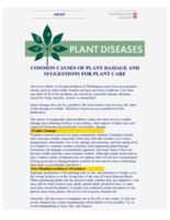 Common Causes of Plant Damage and Suggestion for Plant Care