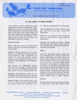 Poultry pointers: If you want to raise fryers