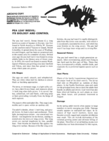 Pea leaf weevil: its biology and control