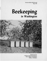 Beekeeping in Washington