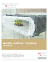 Vegetable grafting: The healing chamber