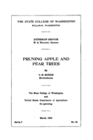 Pruning apple and pear trees