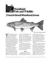 Trout in Small Woodland Areas