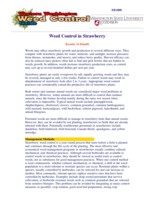 Weed Control in Strawberry