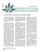 Pea wilt and pea root rots in the home garden