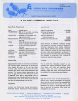 Poultry pointers: If you want a commercial laying flock