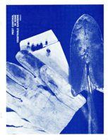 Pest control in home vegetable gardens