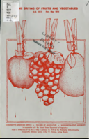 Home drying of fruits and vegetables