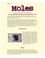 Moles