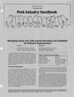 Managing sows and giltsduring breeding and gestation for efficient reproduction