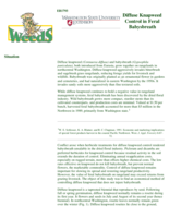 Diffuse Knapweed Control in Feral Babysbreath