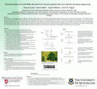 Characterization of small RNAs derived from tomato spotted wilt virus infection by deep sequencing