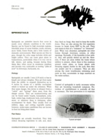 Springtails