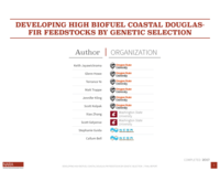Developing high biofuel coastal, Douglas-fir feedstocks by genetic selection