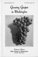Growing grapes in Washington