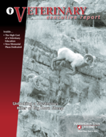 Veterinary Executive Report, Fall 2007