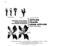 Disease and insect spray program for home gardens: Apples, pears, crab apples: eastern Washington