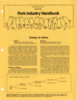 Energy for swine