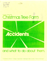 Christmas tree farm: Accidents and what to do about them