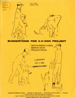 Suggestions for 4-H dog project