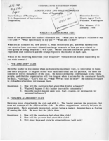 Which 4-H leader are you?