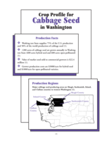 Crop Profile for Cabbage Seed in Washington