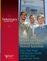 Veterinary Executive Report, Fall 2011