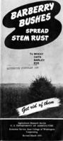 Barberry bushes spread stem rust (to wheat, oats, barley, rye)