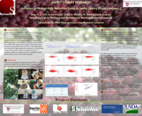 Sweet cherry research variation in pedicel-fruit retention force in sweet cherry (prunus avium L.)