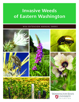 Invasive weeds of Eastern Washington