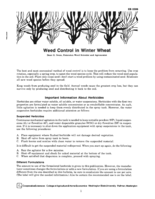 Weed control in winter wheat