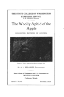 The woolly aphid of the apple