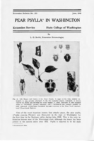 Pear psylla in Washington