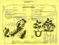 Your vegetable garden, handout 5: So let's sow or transplant