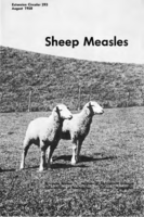 Sheep measles