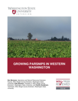 Growing parsnips in Western Washington