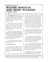 Chemical control of water sprouts and root suckers of apple and pear