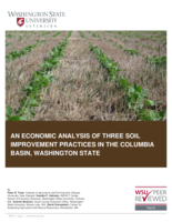 An economic analysis of three soil improvement practices in the Columbia Basin, Washington State