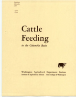Cattle feeding in the Columbia Basin