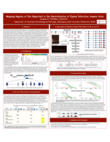 Mapping regions of Env important in the neutralization of equine infectious anemia virus