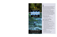 Taking Care of Streams in Washington, Oregon, Idaho, and Alaska