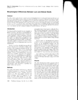 Morphological Differences Between Lynx and Bobcat Skulls