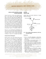 Annual weed control in new forage seedings
