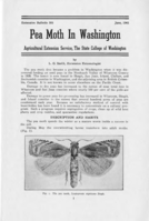 Pea moth in Washington