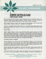 Common Causes of Plant Damage and Suggestion for Plant Care