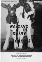 Raising dairy calves