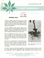 Plant diseases: Crown gall